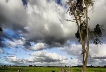 胜游亚洲:連勝熱身添新芽 利物浦整裝待發覓新援.