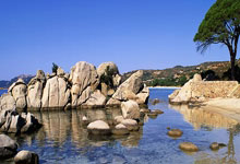 SG胜游:意甲第24輪尤文圖斯4-2都靈 布雷默助攻拉比奧破門.